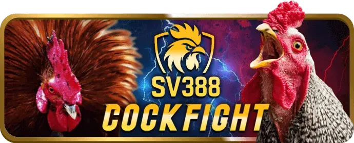 Đá gà trực tuyến v788 bet