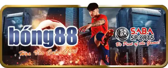 An toàn và bảo mật tại v788 bet
